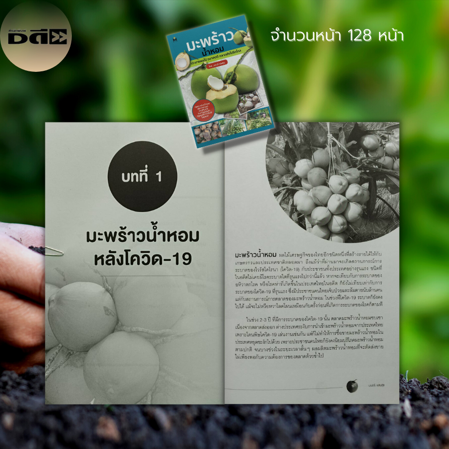 หนังสือ-มะพร้าวน้ำหอม-เจ้าชายผลไม้-อนาคตดี-ตลาดยังไปอีกไกล-มะพร้าว-พันธุ์มะพร้าว-น้ำมะพร้าว-ปลูกมะพร้าว-ปุ๋ย-เกษตร