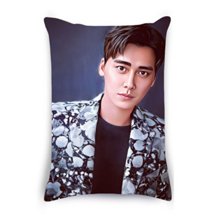 หมอนสกรีน หมอนสกรีนรูป หมอนอิง สั่งทำ หมอนวาดการ์ตูน หมอนตามสั่ง หมอนรูปศิลปิน หมอนพิมพ์ภาพถ่าย Li Yifeng หลี่อี้เฟิง