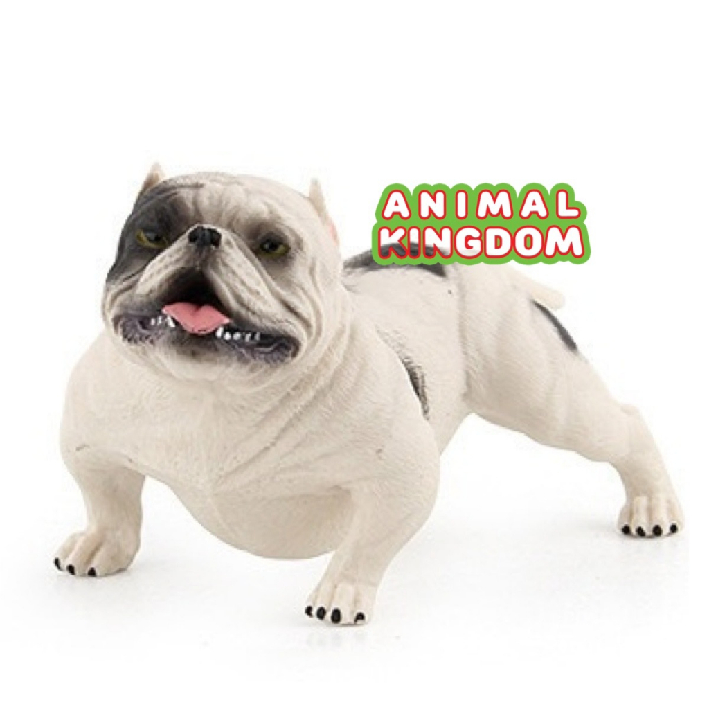 animal-kingdom-โมเดลสัตว์-สุนัข-หมาพิทบูล-ขาว-ขนาด-13-60-cm-จากหาดใหญ่