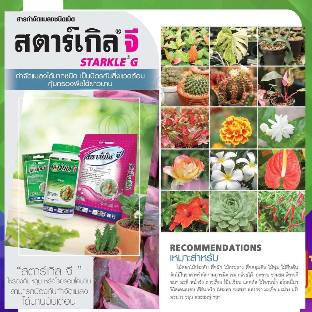 สตาร์เกิล จี (Starkle G) 100 กรัม สารกำจัดแมลงชนิดเม็ด | Shopee Thailand