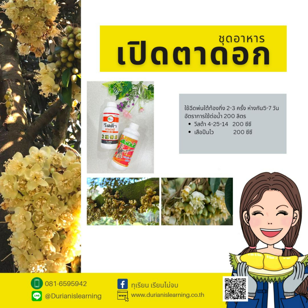 ชุดอาหารเปิดตาดอก-กระตุ้นเพิ่มดอก-เสริมสร้างการแตกตาดอกให้ดีมากขึ้น