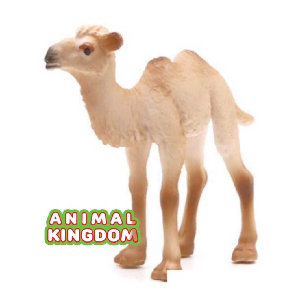 animal-kingdom-โมเดลสัตว์-อูฐ-สองหนอก-แม่ลูก-ครีม-ชุด-2-ตัว-จากหาดใหญ่