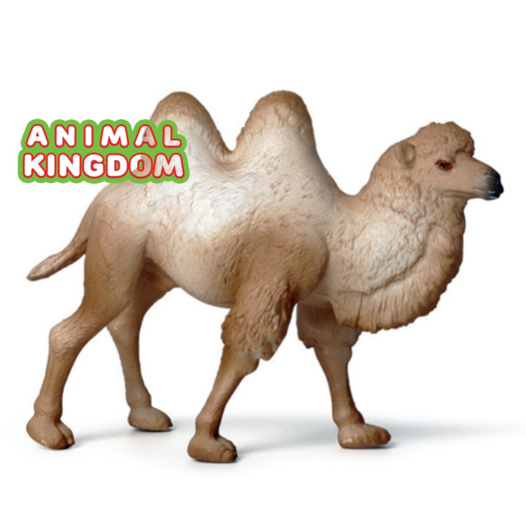 animal-kingdom-โมเดลสัตว์-อูฐ-สองหนอก-แม่ลูก-ครีม-ชุด-2-ตัว-จากหาดใหญ่