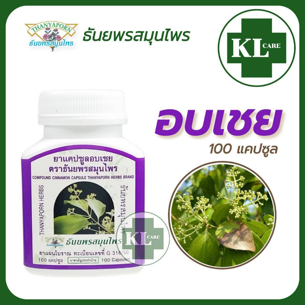 ภาพหน้าปกสินค้าCinnamon ซินนามอน อบเชย ธันยพรสมุนไพร 100 แคปซูล จากร้าน kl_care24 บน Shopee