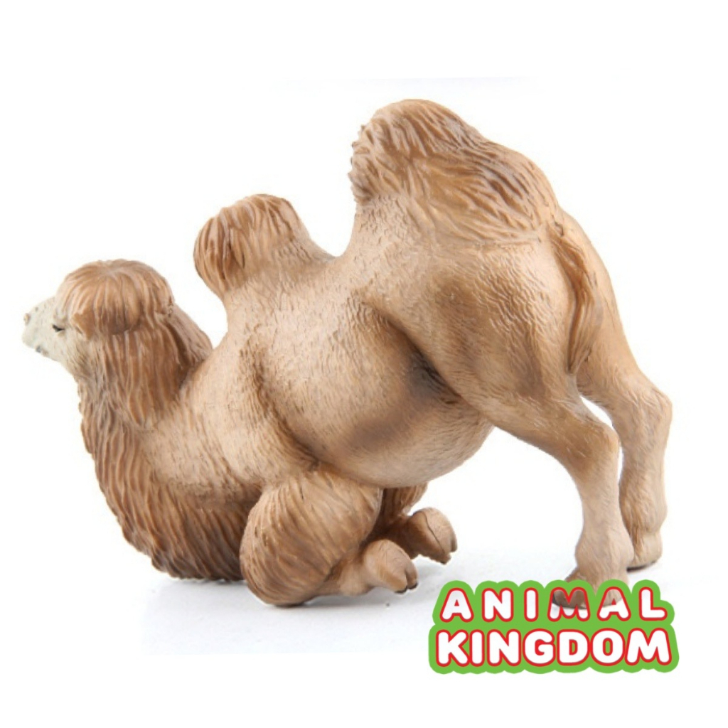 animal-kingdom-โมเดลสัตว์-อูฐ-สองหนอก-หมอบครีม-ขนาด-14-00-cm-จากหาดใหญ่