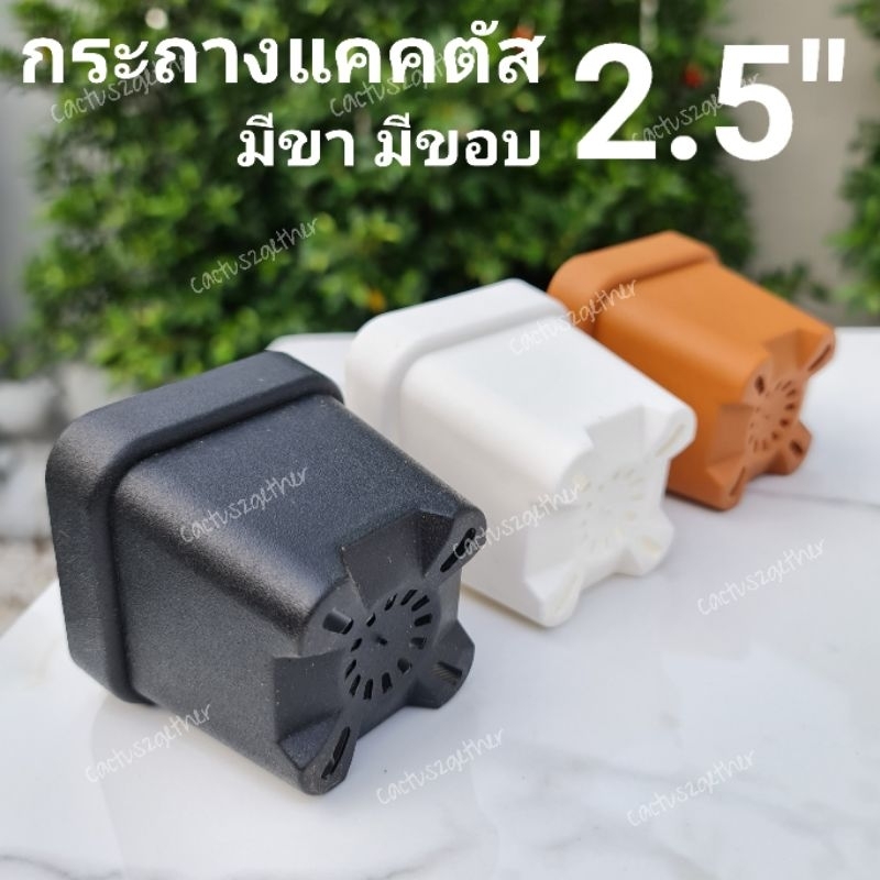 กระถาง4เหลี่ยม-2-5-มีขา-มีขอบ-กระถางแคคตัสมี3สี