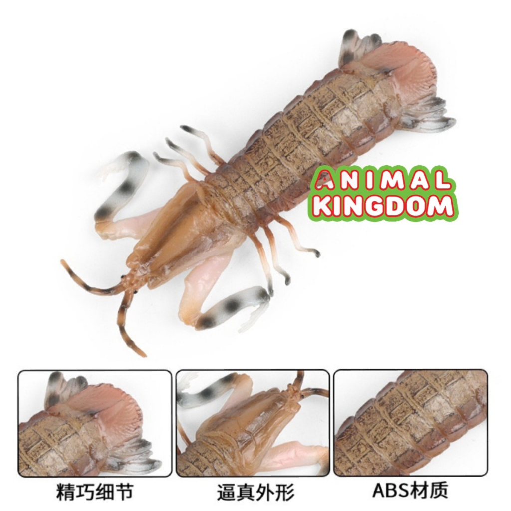 animal-kingdom-โมเดลสัตว์-กั้งทะเล-ขนาด-15-00-cm-จากสงขลา