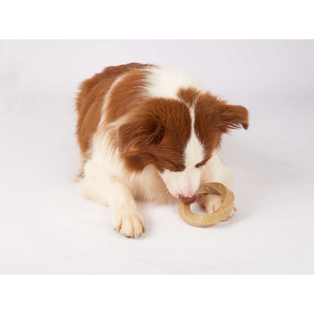 fofos-wooden-stix-dog-toy-ของเล่นหมา-ของเล่นไม้-ของเล่นขัดหัน-ของเล่นแก้เครียด-ทำจากไม้-ใช้กัด-แทะ