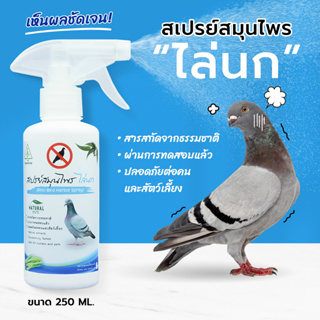 ภาพหน้าปกสินค้าไล่นก SAMUNPINE สเปรย์สมุนไพรไล่นก ขนาด 250 ml/Anti-Bird Herbal Spray 250 ml.(ใช้ได้นาน 90 วัน/ ไล่ได้จริง เห็นผลชัดเจน) ที่เกี่ยวข้อง