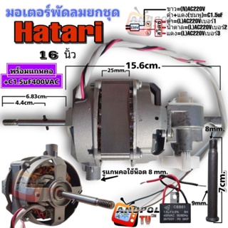 ภาพหน้าปกสินค้ามอเตอร์พัดลม Hatari 16 นิ้ว (ยกชุด) อะไหล่พัดลม ที่เกี่ยวข้อง