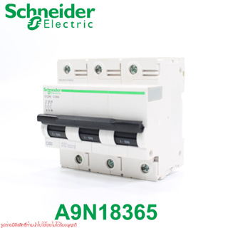 A9N18365 Schneider Electric C120N C80A Schneider Electric A9N18365