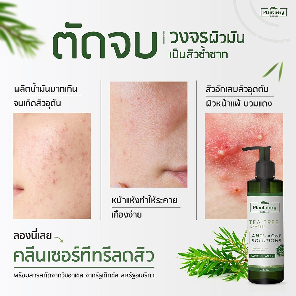 plantnery-tea-tree-facial-cleanser-250-ml-เจลล้างหน้าที-ทรี-สูตรช่วยลดสิว-และควบคุมความมัน-บอกลาปัญหาสิว