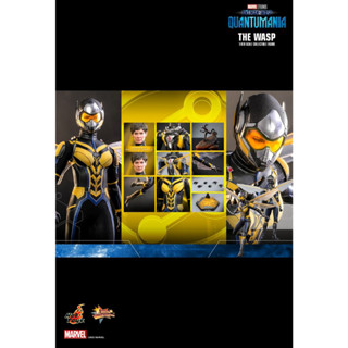 พรีออเดอร์ HOT TOY MMS691 ANT-MAN AND THE WASP : QUANTUMANIA WASP 1/6TH SCALE COLLECTIBLE FIGURE