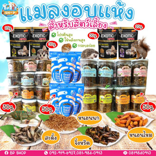 (BP Pets) ขนมหนูแฮมเตอร์ ขนมชูก้าร์ กระรอก แมลงอบแห้ง อาหารเสริมสำหรับสัตว์เล็ก  ขนมสัตว์เล็ก