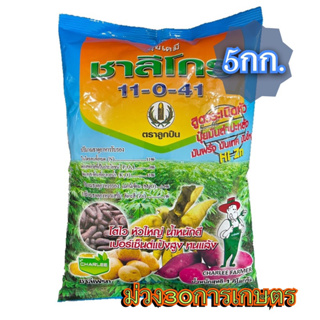 ✅ ชาลีโกร (11-0-41) 5 กิโลกรัม ปุ๋ยระเบิดหัวมันทุกชนิด พืชหัว หอมแดง หัวหอม ผักต่างๆ กะหล่ำ ตราลูกปืน