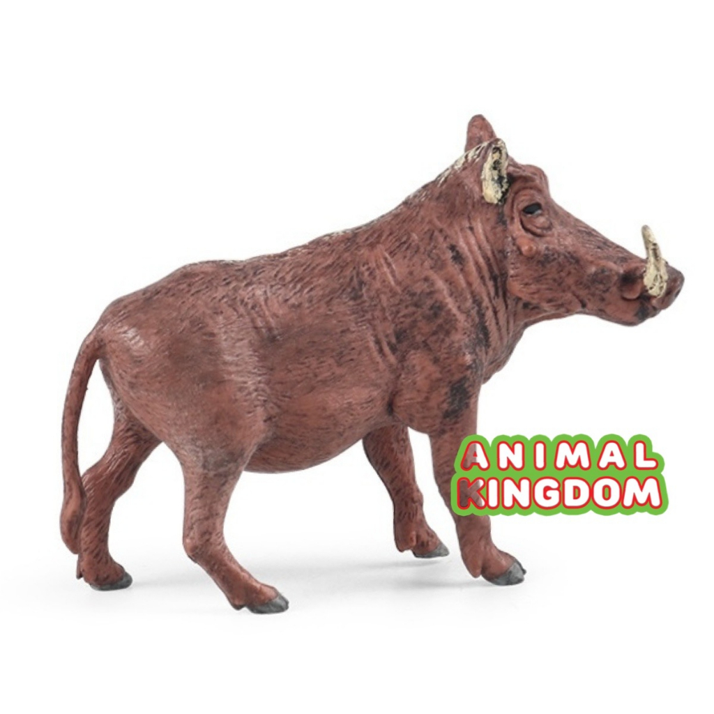 animal-kingdom-โมเดลสัตว์-หมูป่า-แดง-ขนาด-10-00-cm-จากหาดใหญ่