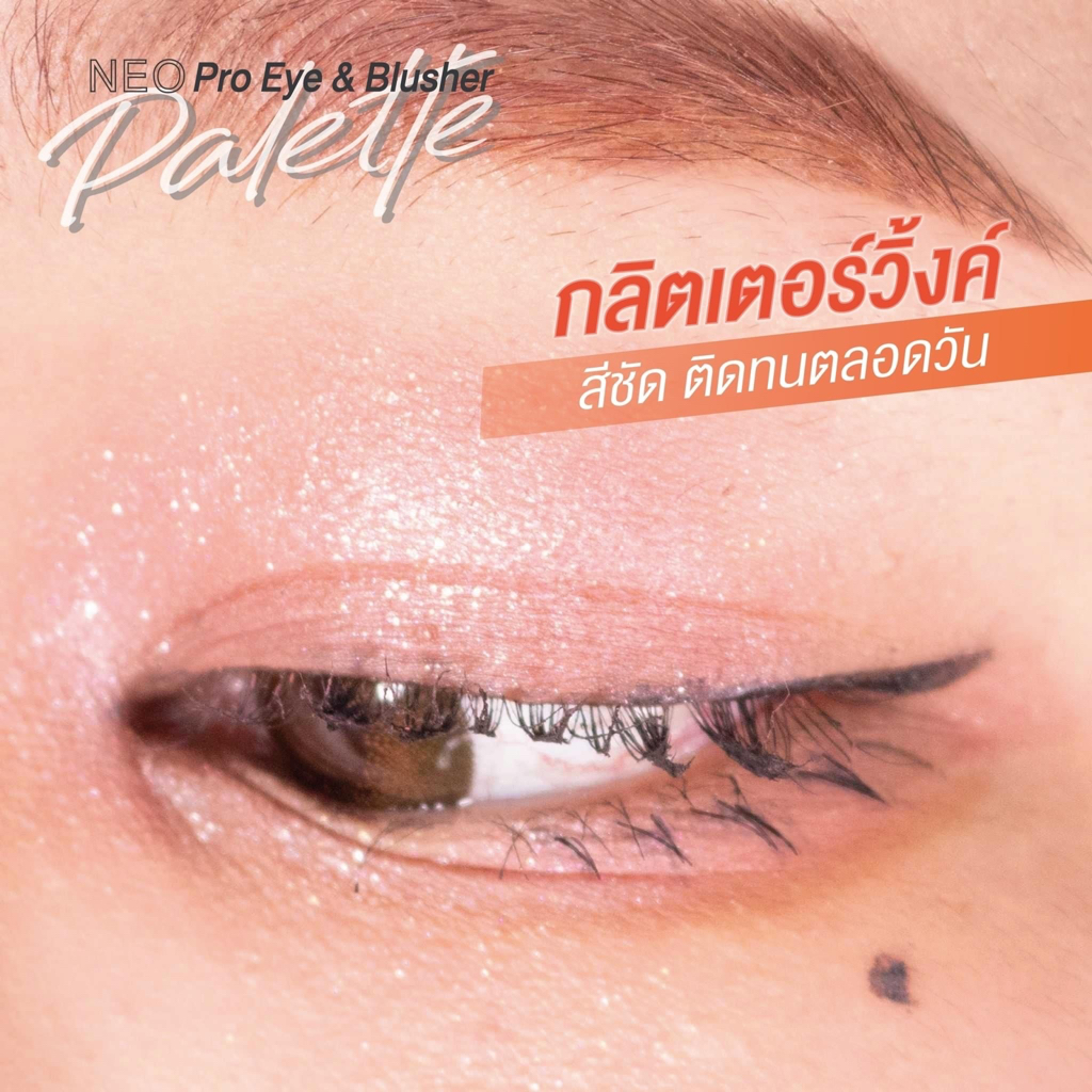 พร้อมส่ง-u-star-neo-pro-eye-amp-blusher-paletteยูสตาร์-นีโอ-โปร-อาย-แอนด์-บลัชเชอร์-พาเลท