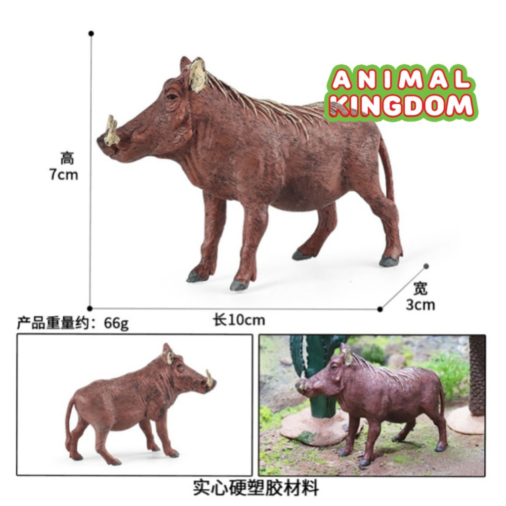 animal-kingdom-โมเดลสัตว์-หมูป่า-แดง-ขนาด-10-00-cm-จากหาดใหญ่