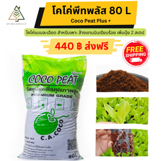 ✅ส่งฟรี โคโค่พีท 80 ลิตร (Coco Peat) เนื้อละเอียด