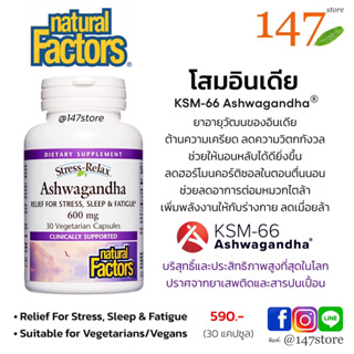 [แท้100%] โสมอินเดีย KSM-66® Ashwagandha, ต้านความเครียด ลดกังวล, 600 มก., 30 แคปซูล
