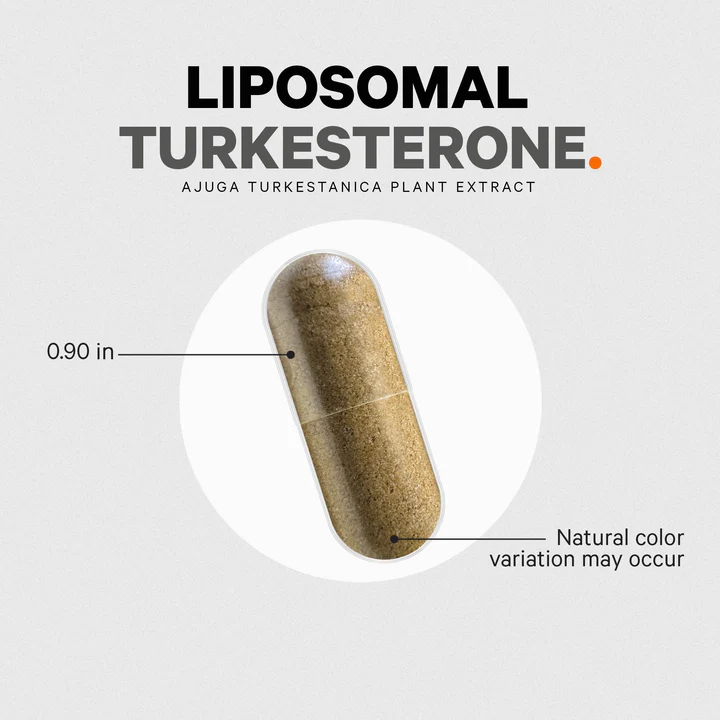 codeage-liposomal-turkesterone-120-capsules-เพิ่มมวลกล้ามเนื้อ-เพิ่มศักยภาพและประสิทธิภาพในการออกกำลังกาย