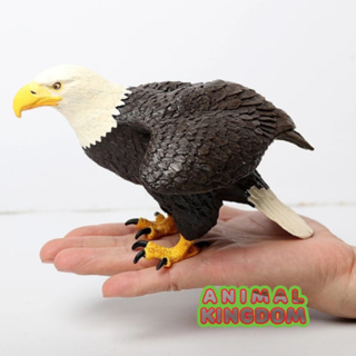 Animal Kingdom - โมเดลสัตว์ นกอินทรี ขนาด 16.00 CM (จากสงขลา)