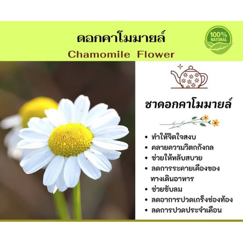 ชาสมุนไพร-เพื่อสุขภาพ-สูตรขายดี