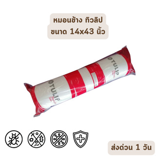 🔥HOT DEAL🔥 จัดเต็ม ! หมอนข้างทิวลิป Tulip Microplus Bolster ป้องกันไรฝุ่น กลิ่นอับชื่น เชื้อรา สินค้ารับตรงโรงงานราคาส่ง