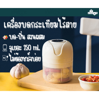 A HAUS เครื่องปั่นมินิ เครื่องบดกระเทียม สับกระเทียม USB สามารถปั่นพริก ผัก ผลไม้ได้ 250 ml ขนาดเล็กพกพาได้