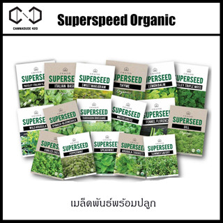 รวมสมุนไพร เมล็ด Rosemary Thyme Peppermint ออริกาโน่ Spearmint Lemonbalm Catnip Lavender Chamomile ชาแมว แคทนิป