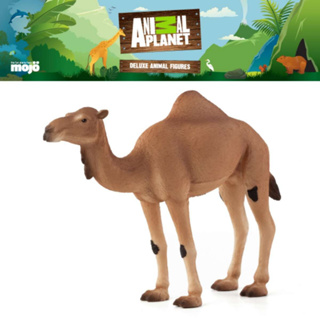 โมเดล ของเล่นเด็ก Animal Planet Model 387113P Arabian Camel