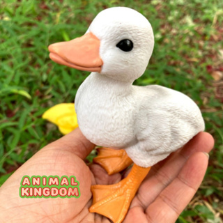 Animal Kingdom - โมเดลสัตว์ ลูกเป็ด ขาว ขนาด 13.00 CM (จากสงขลา)