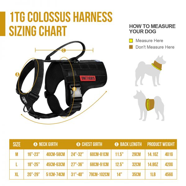 colossus-tactical-harness-dg-xbd05a