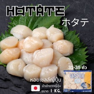 ภาพหน้าปกสินค้าซาซิมิโฮตาเตะ หอยเชลล์ญี่ปุ่น HOTATE ซาซิมิ ที่เกี่ยวข้อง