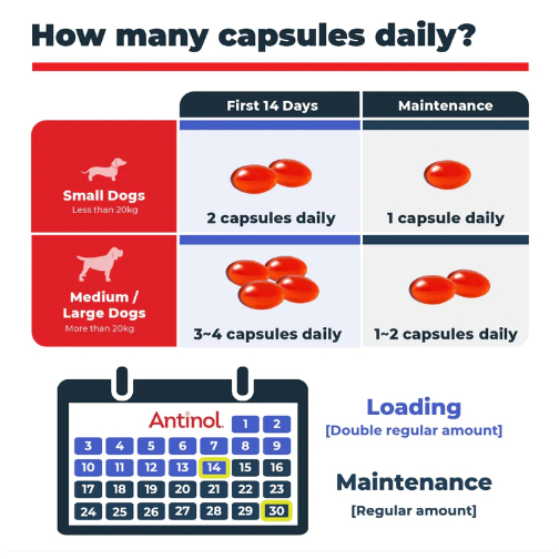 antinol-eab-277-for-dogs-กล่อง-60-เม็ด-สูตรปรับปรุงใหม่-ของแท้มีสติ๊กเกอร์รับประกันหน้ากล่อง