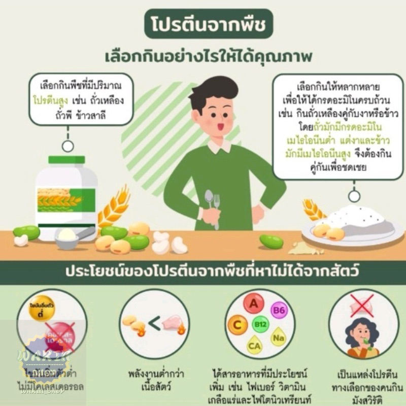 นิวทริไลท์โปรตีน-รสชอคโกแลต-แอมเวย์-amway-ของแท้100-ฉลากไทย-100