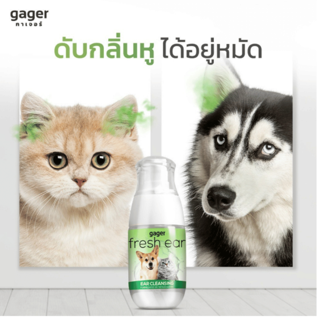 ของใหม่-แท้-gager-กาเจอร์-น้ำยา-เช็ดหู-โลชั่น-ทำความสะอาดหู-แมว-สุนัข-หมา-ช่วยลดกลิ่น-ป้องกันไรหู-50-ml