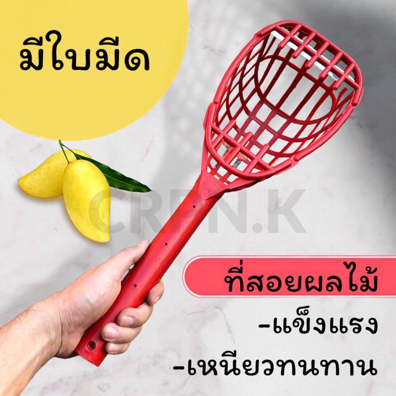 พร้อมส่ง-ตะกร้อสอยมะม่วง-พลาสติก-มีใบมีด-ขนาดใหญ่