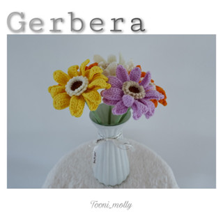 ดอกเยอบีร่า (Gerbera)