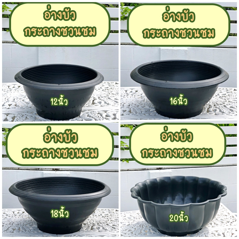 อ่างบัว-กระถางชวนชม-16-นิ้ว-กระถางกลม-กระถางพลาสติก