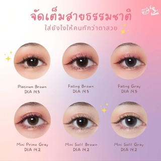 คอนแทคเลนส์ เลนส์สีธรรมชาติ เทาและตาล Gray/Brown มีค่าสายตาปกติ (0.00) เปลี่ยนแทนทุกเดือน