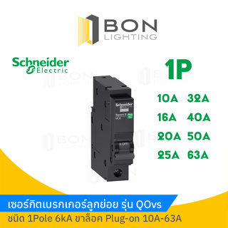 ลูกเซอร์กิตสแควร์ดี Square D 1 Pole 1 ช่อง 10-63A ขนาด 6 kA