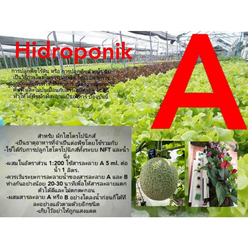 ธาตุอาหารพืช-ปุ๋ยไฮโดรโปนิกส์-ปุ๋ยab-ปุ๋ยน้ำ-ปุ๋ยผักสลัด-สำหรับปลูกผัก-hydroponics-ขนาด1000ml