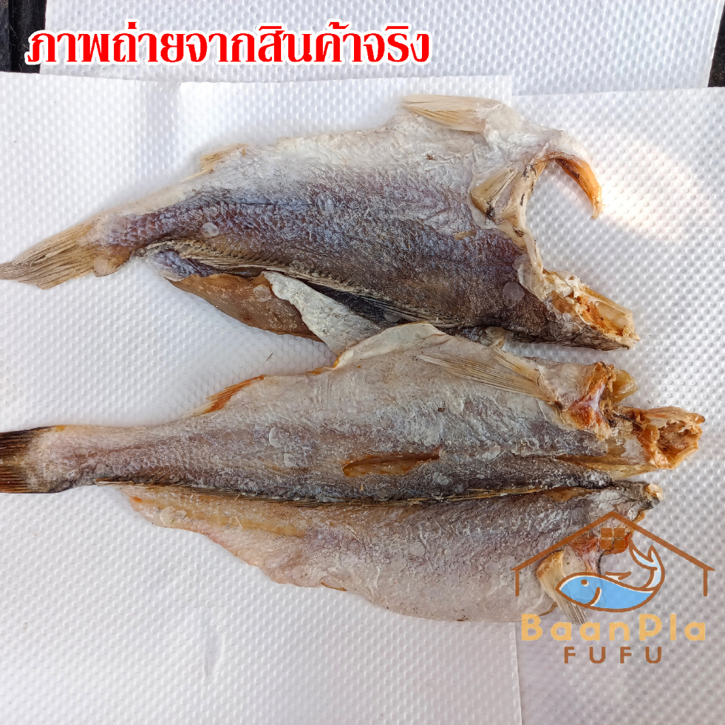ปลาบ่งนา-ปลาตากแห้งพม่า-เป็นปลาเนื้อเค็ม-ทอดกินอร่อย-แกงก็อร่อย-ขนาด500กรัม-1กิโลกรัม-สะอาด-อร่อย-ส่งเร็ว