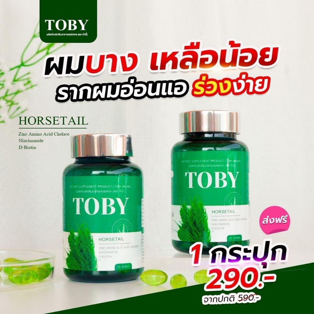 toby-horsetail-วิตามินลดผมร่วง-ผมบาง-หัวล้าน-กระตุ้นการเกิดใหม่ของเส้นผม-ลูกผมเยอะขึ้น-บำรุงล้ำลึกจากภายใน-สู่รากผม