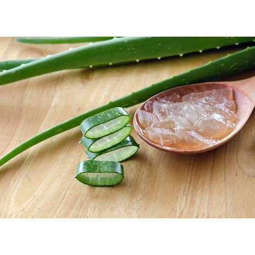 longbeach-green-grape-with-aloe-puree-ลองบีชเพียวเร่องุ่นเขียวผสมเนื้อว่านหางจระเข้