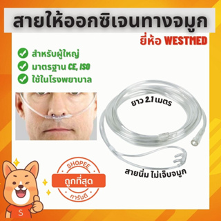 [พร้อมส่ง] สายให้ออกซิเจน WESTMED Adult Cannula สำหรับผู้ใหญ่ ความยาว 7 ฟุต (ความยาว 2.1 เมตร)