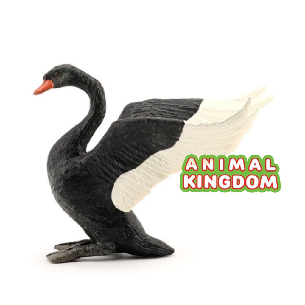 animal-kingdom-โมเดลสัตว์-หงส์-ดำ-ขนาด-12-00-cm-จากสงขลา