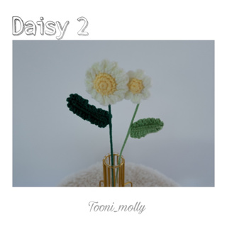 ดอกเดซี่ 2 (Daisy 2)