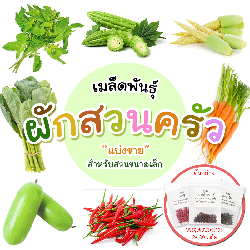 เมล็ดผักสวนครัว-ผักซองแบ่งขาย-เมล็ดใหม่อัตรางอกสูง-เหมาะสำหรับสวนขนาดเล็ก-ชุดที่-1